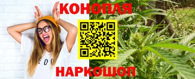 прущие грибы Краснознаменск