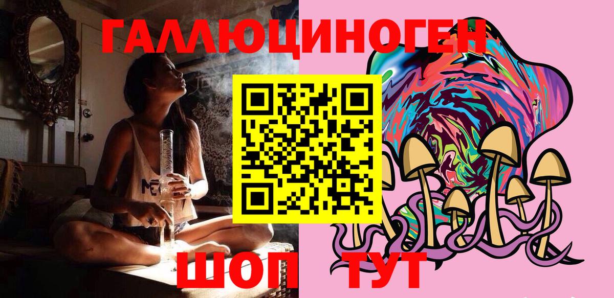 Кандалакша  Псилоцибиновые грибы Psilocybine cubensis  Вход с VPN 